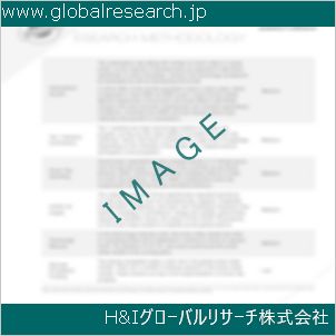 グローバルリサーチ調査資料のイメージ